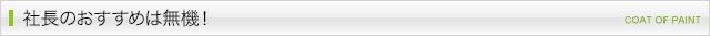 塗装メニュー